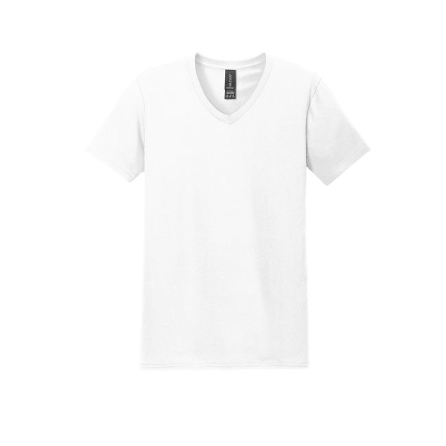 Odoo 19 Config with option