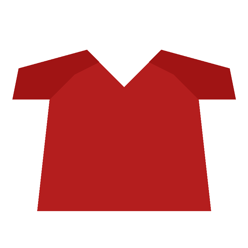 Premium Polo T-Shirt