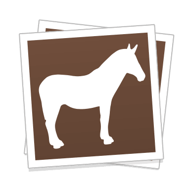 Dream Sticker