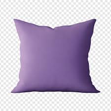 1 Pillow